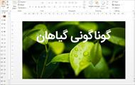 پاورپوینت گوناگونی گیاهان (علوم چهارم دبستان)